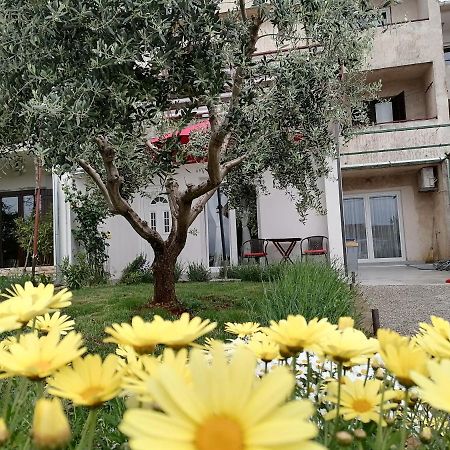 Leona Apartment Vidikovac, Póla Kültér fotó