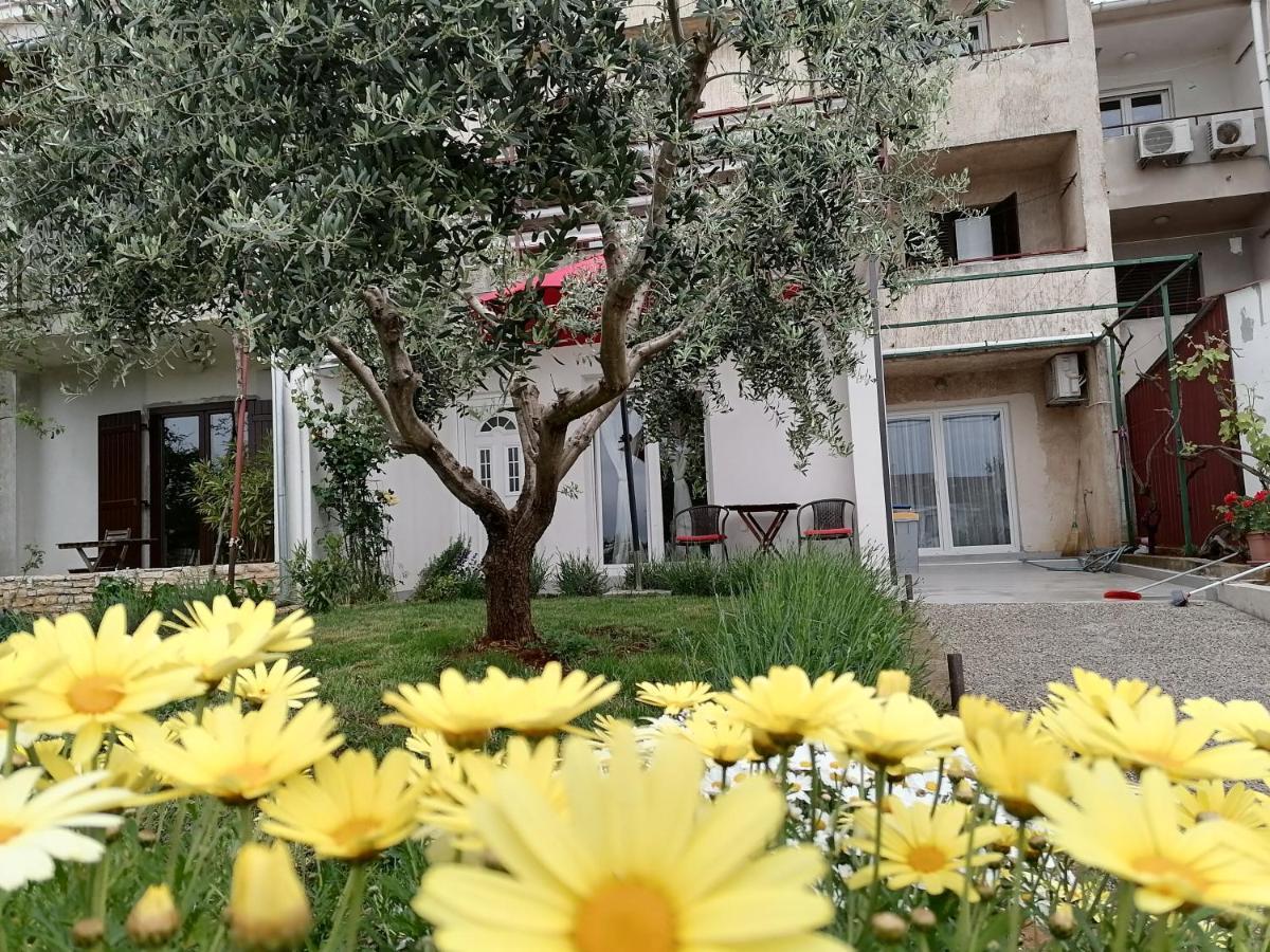 Leona Apartment Vidikovac, Póla Kültér fotó
