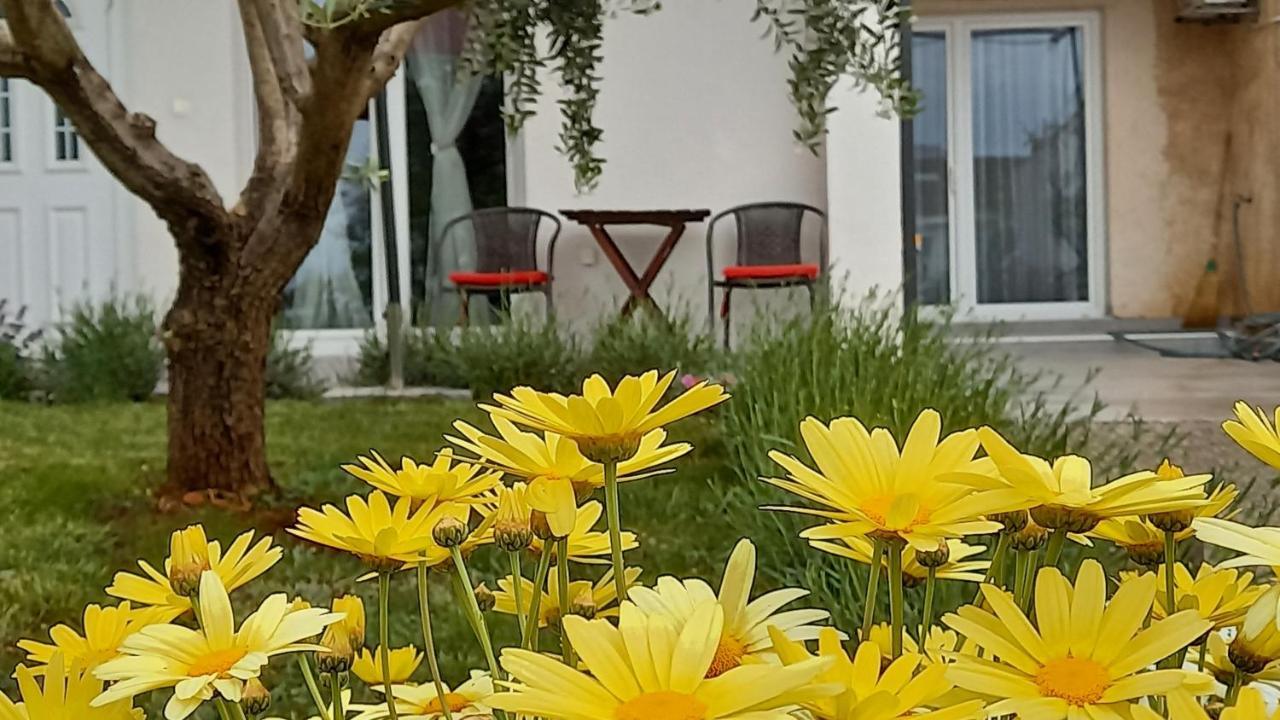 Leona Apartment Vidikovac, Póla Kültér fotó